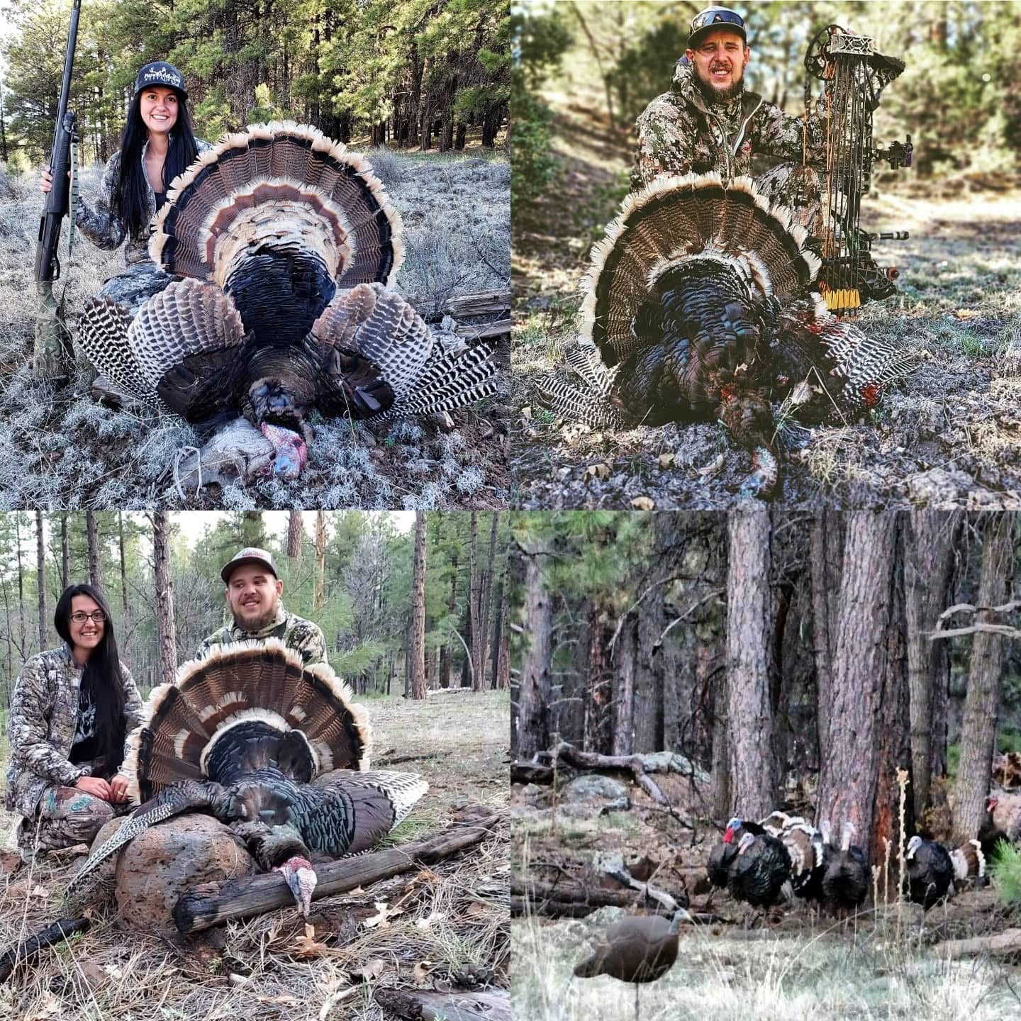 1. JUMM CLUB + 10 Entries - Monthly Subscription